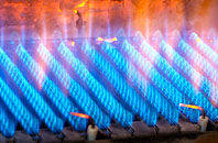 Boraston Dale gas fired boilers